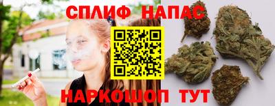 прущие грибы Ливны